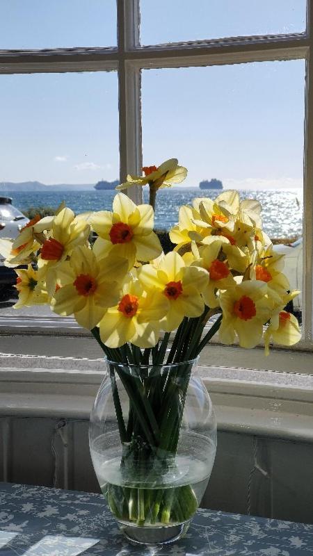 Hotel Lichfield House Weymouth Esterno foto